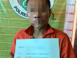 Polres Samosir Berhasil Mengungkap Penanaman Ganja: Seorang Laki-laki Diamankan