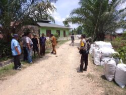 Keseriusan Polres Langkat Dalam Menangani Produksi Arang Jenis Kayu Bakau