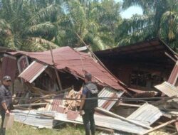 Dugaan Perambahan Hutan di Kwala Langkat hingga Kadus Masih Ditahan, Ini Penjelasan Polisi