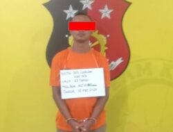 Polsek Kualuh Hulu – Polres Labuhanbatu Berhasil Tangkap Pelaku Curas