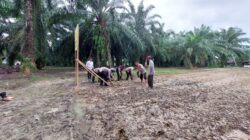 Polsek Besitang Polres Langkat Manfaatkan Lahan Kosong, Dukung Program Ketahanan Pangan