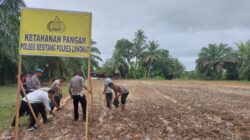 Polsek Besitang Polres Langkat Manfaatkan Lahan Kosong, Dukung Program Ketahanan Pangan