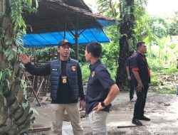 Polrestabes Medan Gerebek Lapak Judi Sabung Ayam di Pancur Batu, Lokasi Dibongkar dan Dibakar