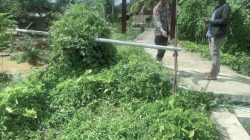 Akses Warga Terancam, Brimob Sumut Lakukan Pengecekan Jembatan Gantung di Tukka