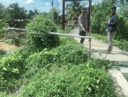 Akses Warga Terancam, Brimob Sumut Lakukan Pengecekan Jembatan Gantung di Tukka