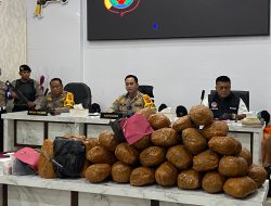 Polres Madina Rilis 11 Kasus Narkotika Selama Februari 2026, 15 Tersangka Diamankan