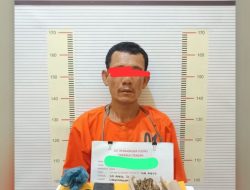 Polres Tapteng Ringkus ‘Kongo’, Pengedar Paket Lengkap Ganja dan Sabu di Lubuk Tukko