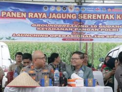 Panen Raya Jagung Serentak, Polres Karo Dukung Ketahanan Pangan Nasional