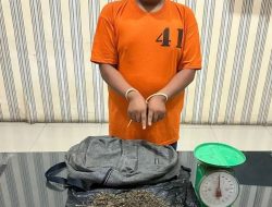 Ganja Hampir 1 Ons Diamankan dari Rumah Kontrakan di Kabanjahe