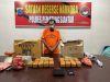 Polres Pematangsiantar Ungkap Peredaran Ganja 7 Kg, Satu Tersangka Ditangkap