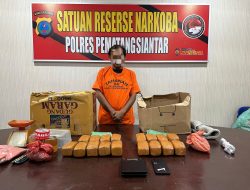 Polres Pematangsiantar Ungkap Peredaran Ganja 7 Kg, Satu Tersangka Ditangkap