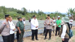 Kapolda Sumut Tinjau Sentra Bawang Putih di Samosir, Tegaskan Dukungan Polri untuk Ketahanan Pangan Nasional