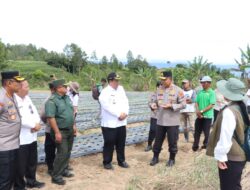 Kapolda Sumut Tinjau Sentra Bawang Putih di Samosir, Tegaskan Dukungan Polri untuk Ketahanan Pangan Nasional