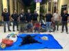 Polres Simalungun Bongkar Perdagangan Satwa Dilindungi, 30 Kg Sisik Trenggiling hingga Kulit Beruang Madu Disita