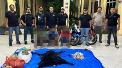 Polres Simalungun Bongkar Perdagangan Satwa Dilindungi, 30 Kg Sisik Trenggiling hingga Kulit Beruang Madu Disita