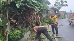 Polsek Tigabinanga Gelar Green Policing, Bersihkan Jalan dan Pangkas Ranting Pohon demi Keselamatan Pengguna Jalan